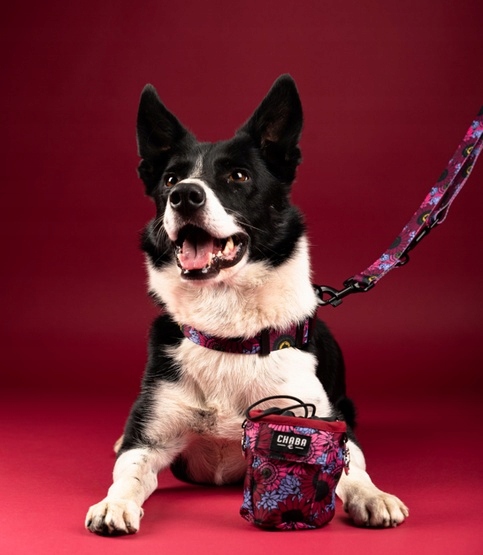 a795d3ccca92d4382f09ed4f136733d0