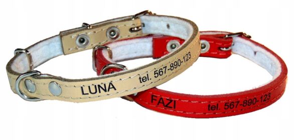 8bbca9b20398f2c6be89e9d31db16d0a