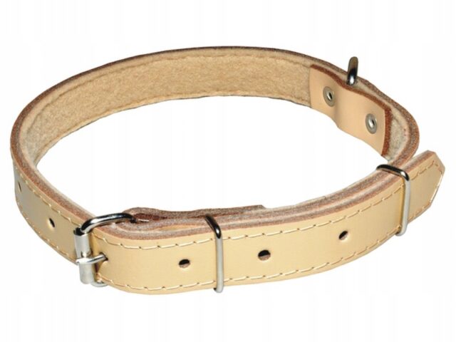 5ab4d970f335a009fbd9d2aa459645f1