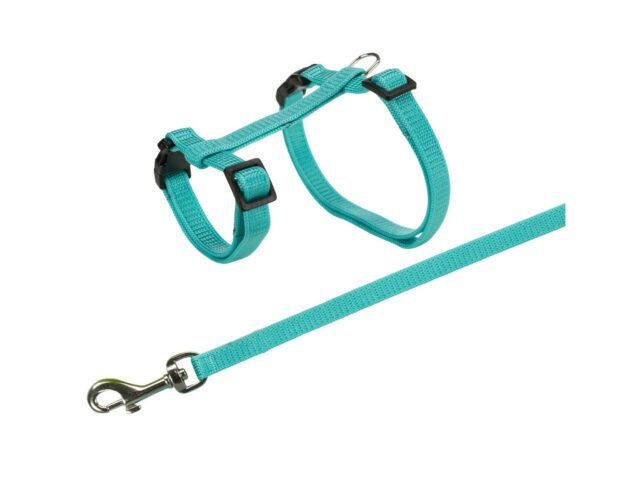 edbd92bbedf4c583f6e1ca3ad9e251e5