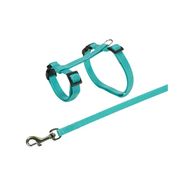 edbd92bbedf4c583f6e1ca3ad9e251e5