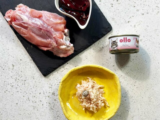 8bdb11ed4f4d5f7a903b4c5e28d0e31f