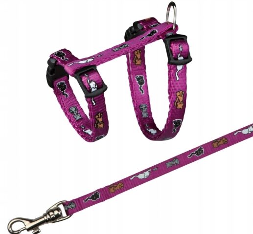 461cf20e8a983508f45566c3aed82117