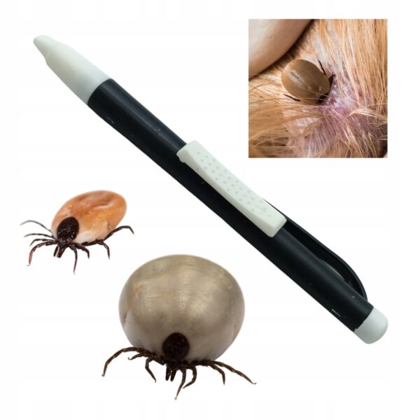 2808cadcf7014fe739d68d5fe3357779