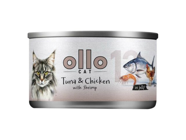 2e5caca83bc2713f4a2a17fd7be56848