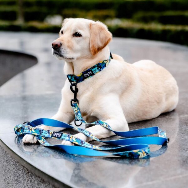 c1129d94b0f77e32e5ca12301cfa1ef7