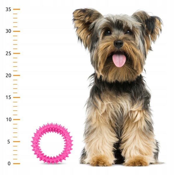 557e378930afc065002f60aad4d5183a