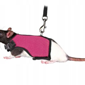 4df3e470a129b13ed431baf3f15c9db1