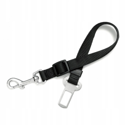 8d05517a0f06f7e20678faed1d38db20