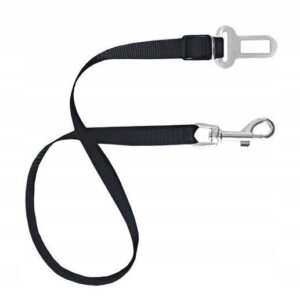 01c60480e5199a5c3799a317a65436ad