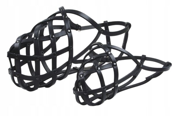 c00ecd6fe91d1b3b92e37e261fbab53e