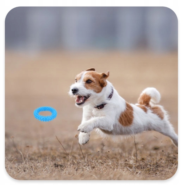 08308708c9667acf23a7fadf11721b02