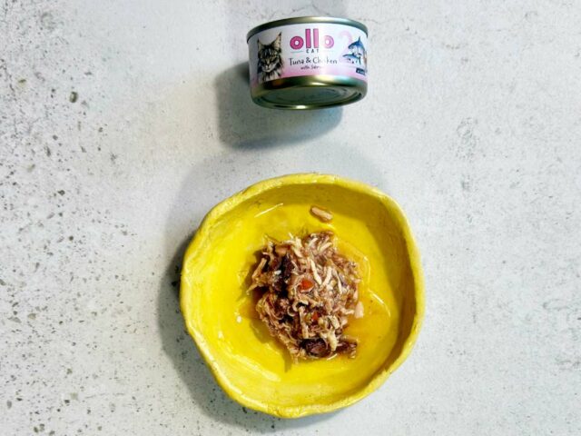 2854859876f12a93ef7f849def30b5ae