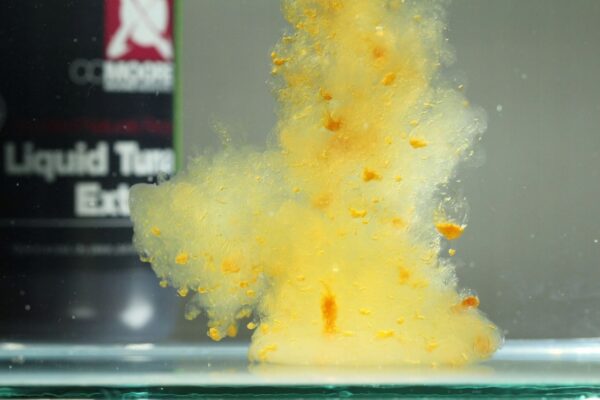 7d16572a8a383a88bd598a3ab0c1a148