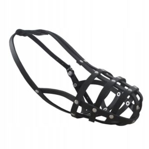 c08f2c25ac942d9ada764f655eb77124