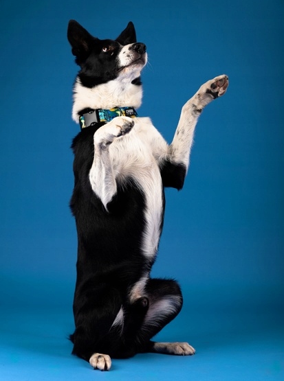 1dc82631de283994c7938767631d0a29