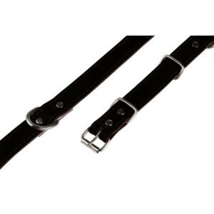 e14f7fcc103c174fc4aba4677fd522b7