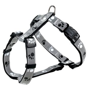 a29e4ebd0bd8b07f103b9f1e733deb10