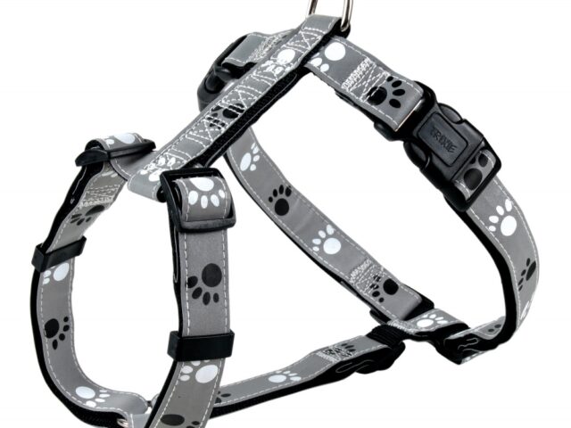 a29e4ebd0bd8b07f103b9f1e733deb10