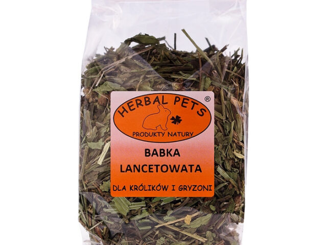 cd3e15641a4ba1961b4032e343059211