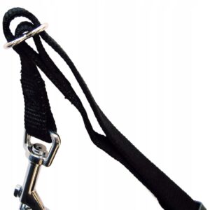 19e2bd2d9da86791c9282292388b5a70