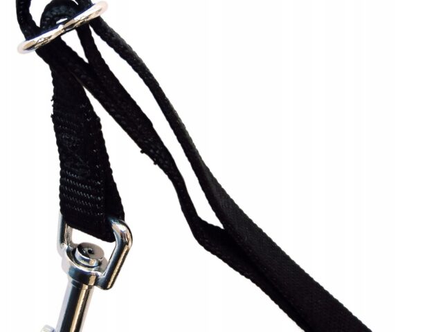 19e2bd2d9da86791c9282292388b5a70