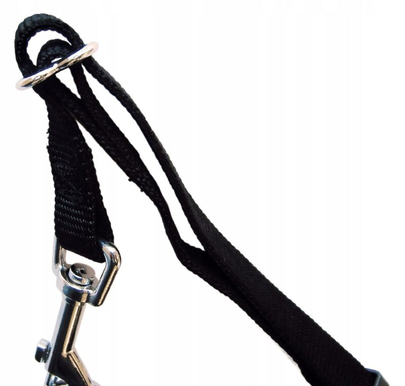 19e2bd2d9da86791c9282292388b5a70