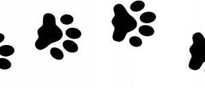 a2b6988dda3f70fb225bfcab011e8157