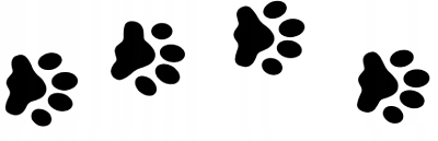 a2b6988dda3f70fb225bfcab011e8157