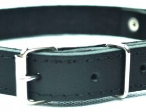 464e43b00465c183a1dbb8f909ade324