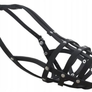 0dd919b42dcbe0d7969ab8ab45945c67