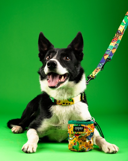 1fd26d78da2577d4ec922ff2f4935a16