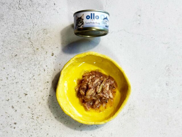 1b2df615538d6058af710b20012120be