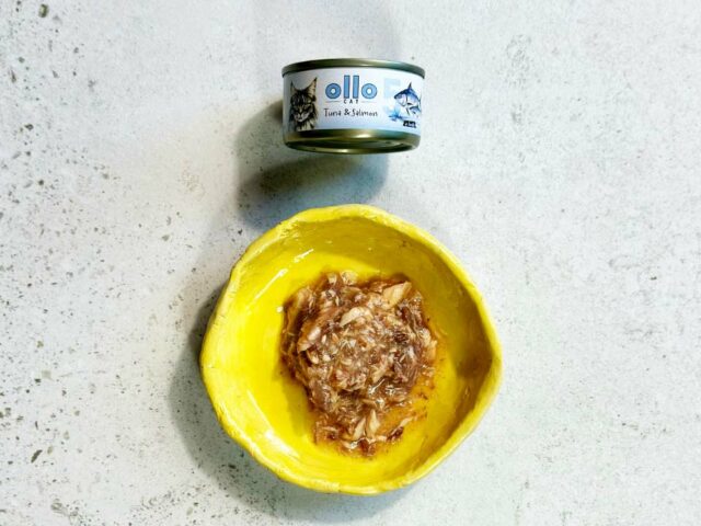 9d6ad4ccabdf45df50f2dad0ad15f6b9