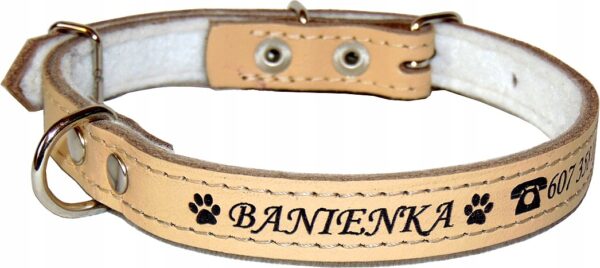 1f5795dc367adcb5009d6e97081f7044