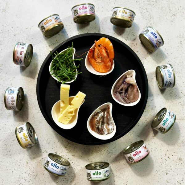 fb1817933d16fa6a4b922d4f6febd6a9