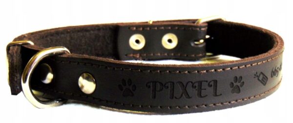 5537e9d3f57e47e93d0cc75053d6e6bf