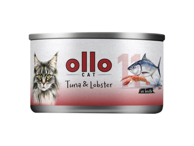 7e0dfe8b2761beec6dfa5e7989d6f430