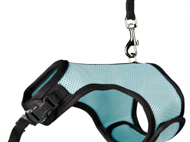 44b6a4f6f1ed6f3af973fbf4188be05e