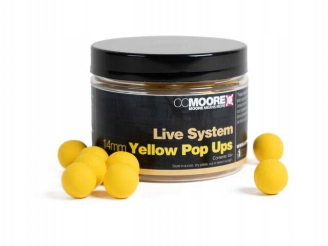 371776d84e565d9558d37481dca9dfba