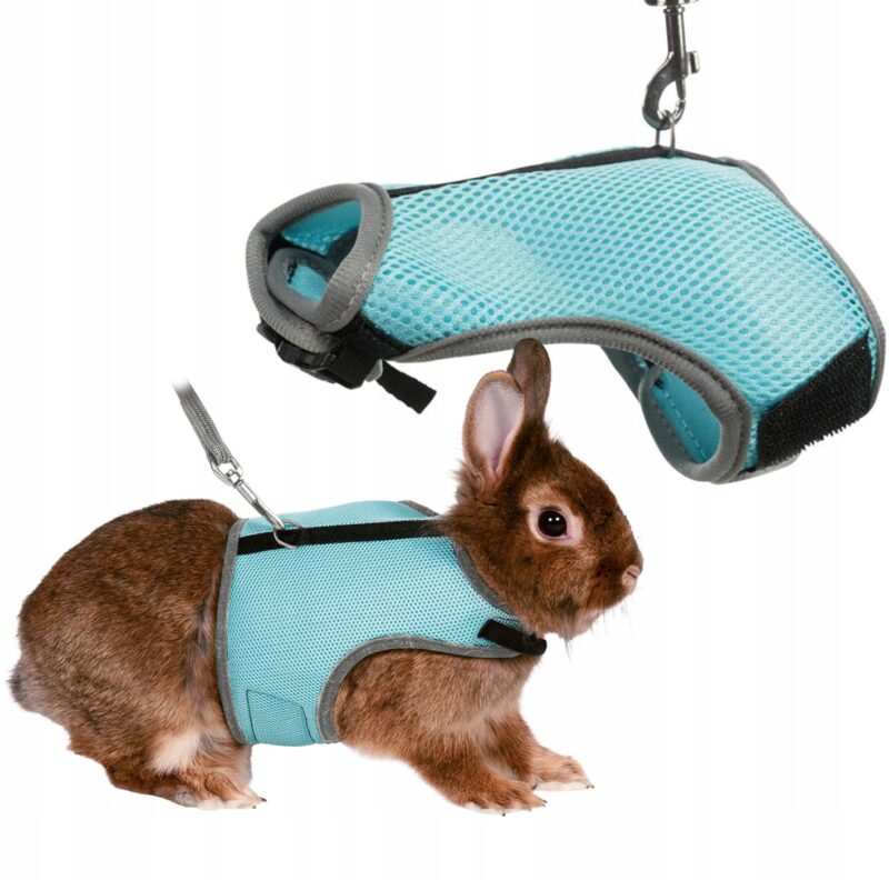 b20c3bb8b680998244a9002ec70dadbb