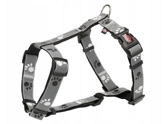 cbbee05d58a96a0bd825e9ea50c87ff1