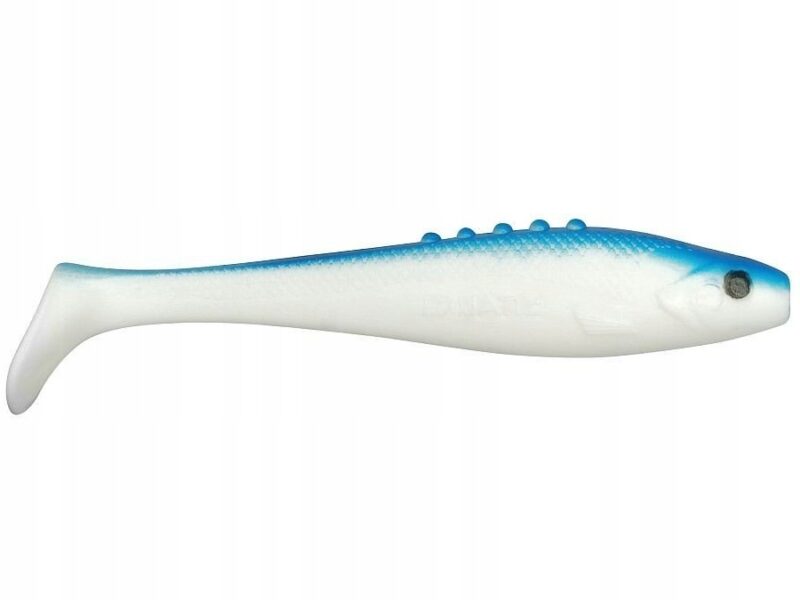 268b957531f250566fb1fb74e5732961