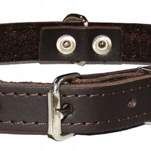 fc74cff8d11293564ffd10dd1be9d0e2