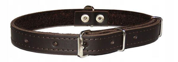 fc74cff8d11293564ffd10dd1be9d0e2