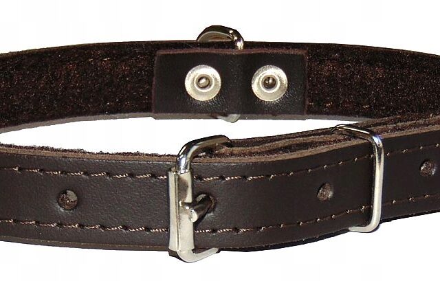 fc74cff8d11293564ffd10dd1be9d0e2