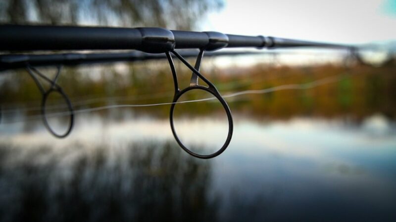 d6d5b31f225171e1881696abb4d57f60