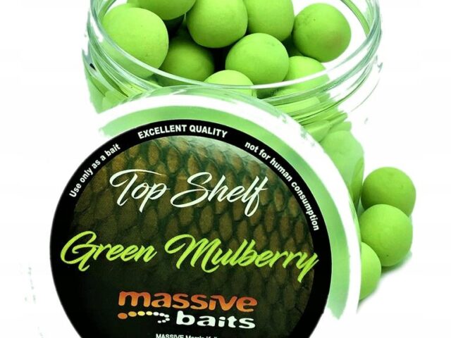 33e9fff2383acd775030ad260eb77e88