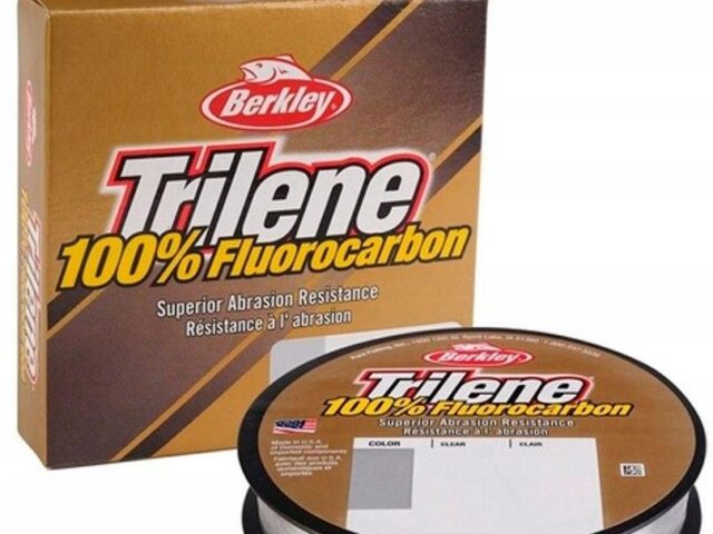 3fe846c577432b5acb52a8881e01d1f5