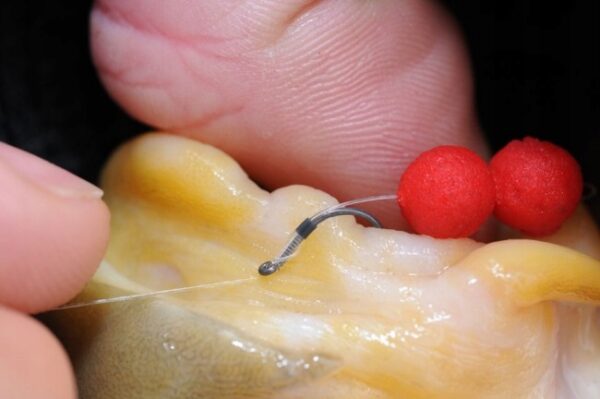 83586ec347a77ef5e3e150ef52340dbd